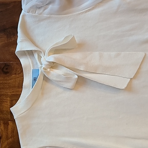 🎉Host Pick 🎉 Cece bow neck Chiffon sleeve sweater top - Picture 3 of 11